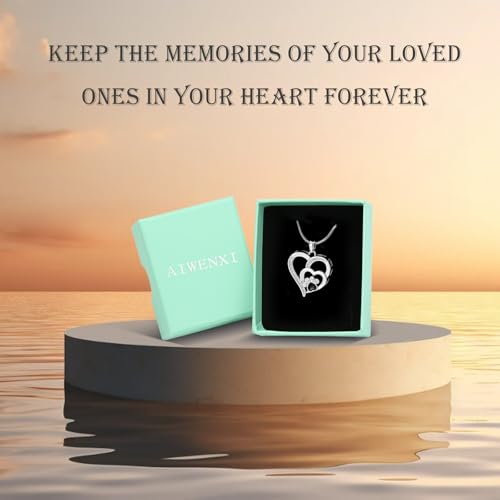 Pet Cremation Jewelry Heart Urn Necklace for Dog Cat Ash Keepsake Crystal Silver
