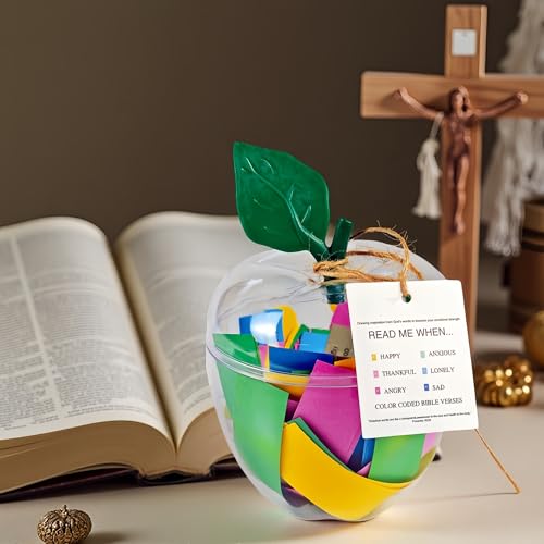 Large Apple Container with 96 Color-Coded Cards,Back to School Teacher Gift