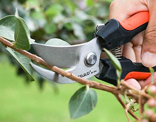 sky-w 8-inch bypass pruner hand pruner with curved blades for garden and flower pruning