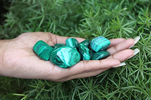 Jet Malachite Tumbled Stone 100gm – Natural Green Crystal for Home Décor, Collection, Gifting & Energy Ambience – Polished Healing Gemstone Chips for Display & Craft