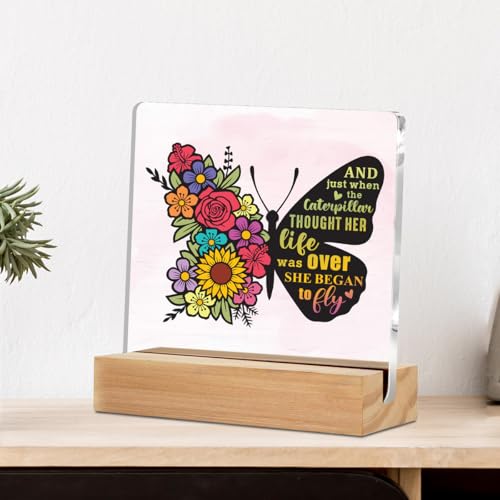 Inspirational Gifts for Women Friends Coworker, Christian Gifts for Women, Inspirational Gift, Pink Bow Clear Desk Acrylic Sign for Home Office Room, Desk Shelf Table Decoration, Psalm 23 LCS Multicolour 0623