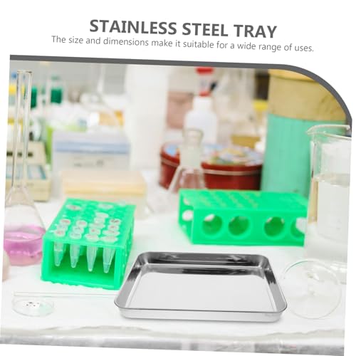 Stainless Steel Instrument Tray 31 x 24 x 2.5 cm Without Cover Medical Tray for Medical Instruments Clinic and Laboratory