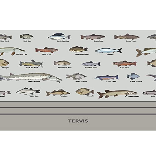 Tervis Traveler Here Fishy Fishy Goldfish Triple Insulated Tumbler Travel Cup Keeps Drinks Cold & Hot, 30oz, Stainless Steel
