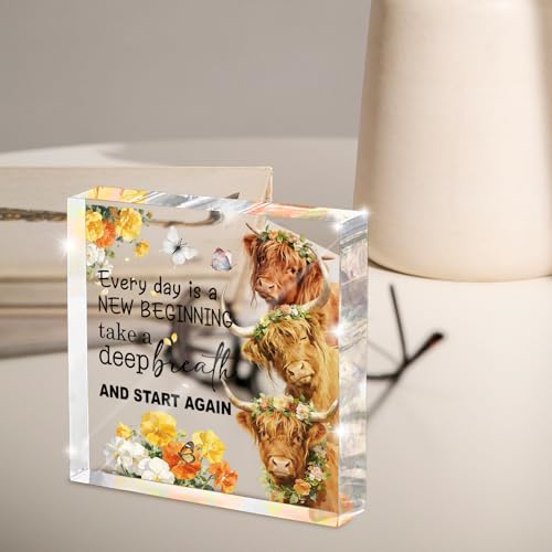 Highland Cow Christian Acrylic Sign, Every day is a New Beginning