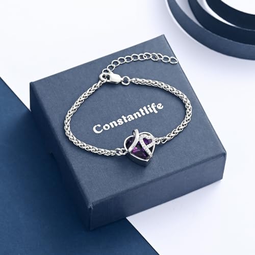constantlife Heart Shape Urn Bracelet for Ashes for Women Stainless Steel Crystal Cremation Keepsake Adjustable Link Bangle Loved Ones Memorial Jewelry Gift Silver-Purple