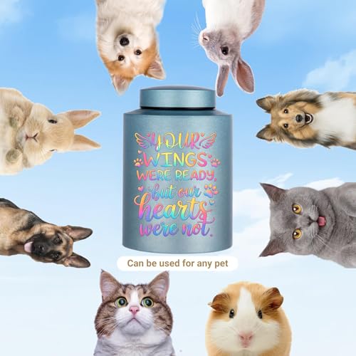Urn for Dog Ashes Cat Cremation Urn Personalized Keepsake Pet Funeral Urns Pet Urn-Blue