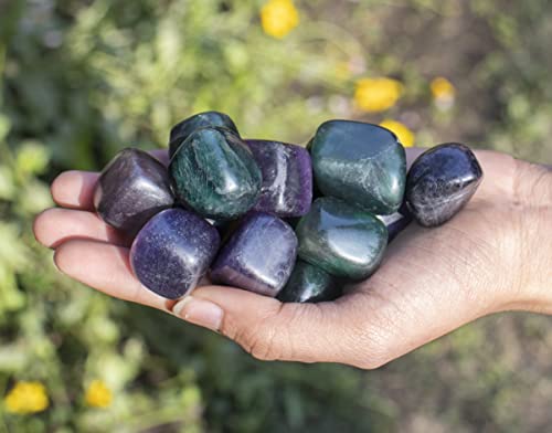 Crocon 13 Pcs Multi Fluorite Tumbled Stone Raw & Rocks Natural Crystal Bulk #003 Multi Fluorite