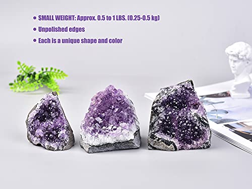 AMOYSTONE Amethyst Cluster Crystal Stone Rock Cluster Druzy Witchcraft Home Decor Small 0.5-1 LBS Irregular Unpolished Grade C Purple C 0.5-1 lbs.