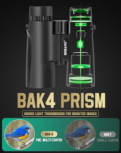BEBANG Binoculars for Adults 10x42 High-Powered: Waterproof for Birding
