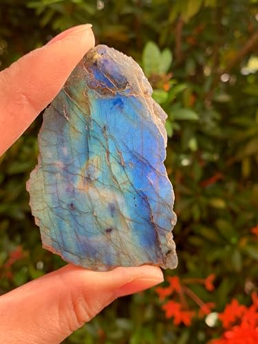 GAF TREASURES Large Raw Labradorite Slab, Natural Labradorite Slab Stone, Natural Rough Labradorite Slab, Labradorite Slab Rough, Labradorite Slab Rock (Labradorite Slab, 1 piece)