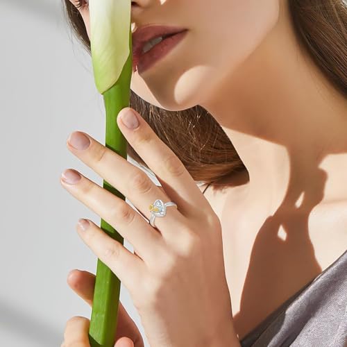 Hummingbird Cremation Urn Rings Holds Loved Ones Ashes 925 Sterling Silver Cremation Keepsake Ring Jewelry for Women 6