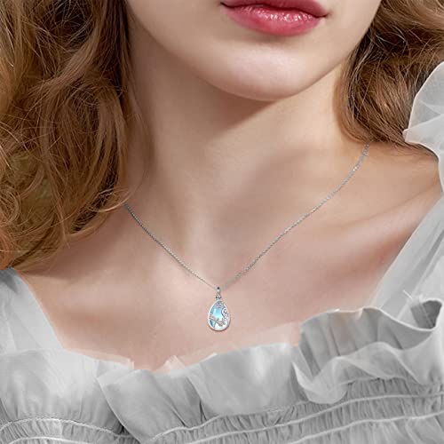 ONEFINITY Dragonfly Urn Necklace For Ashes 925 Sterling Silver Dragonfly Cremation Jewellery For Ashes Memory Gifts For Women Men