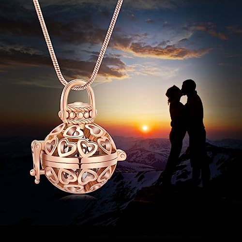Lantern Heart ashes necklace,Cremation Jewellery Memorial Keepsake Pendant rose&silver