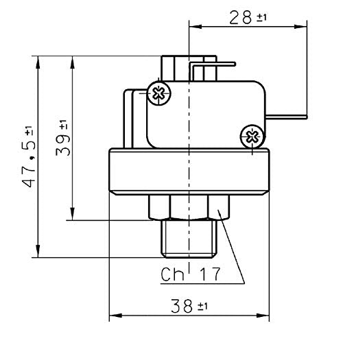 Easyricambi Pressure Switch Water Pump XP110, Adjustable Water Pressure Sensor from 2 to 6 Bar, 1/4 Inch Gas Connection, Screw Adjustment, for Monitoring and Controlling Water Pressure