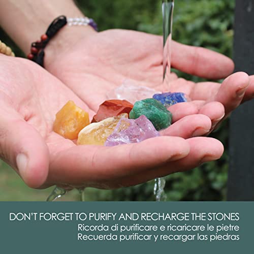 Lynpha Vitale - 7 Chakra Stones - Healing Stones for Crystal Therapy - Anxiety Relief - Seven Natural, Pure Healing Crystals for Protection