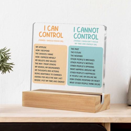 Inspirational Gifts for Women Friends Coworker, Christian Gifts for Women, Inspirational Gift, Pink Bow Clear Desk Acrylic Sign for Home Office Room, Desk Shelf Table Decoration, Psalm 23 LCS Multicolour 0623