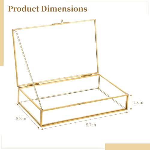 Golden Glass Jewelry Organizer, Large Rectangular Clear Jewelry Box, 8.7 x 5.3 x 1.8 Inches Vintage Keepsake Display, Lidded Shadow Container for Trinkets, Photos, Cards