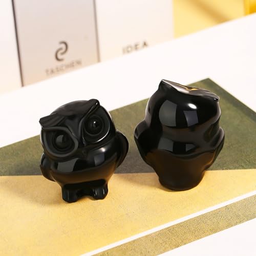 QINJIEJIE Black Obsidian Crystals Owl Figurines Natural Carved Stone Decor B - Black Obsidian 1.6inch