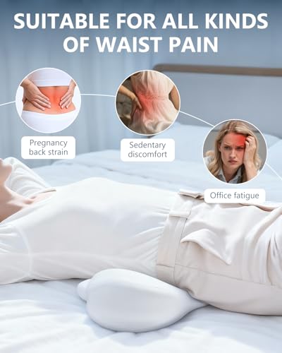 SMDR Ergonomic Lumbar Support Pillow, Dual-Wing Memory Foam Back Cushion for Lower Back Pain Relief & Posture Support (Standard Height), Washable Cover Standard Height