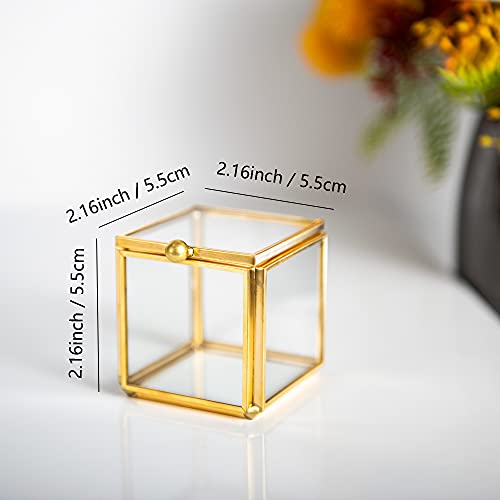 Feyarl 2pack Small Glass Jewelry Trinket Box Ornate Ring Earring Display Box Decorative Keepsake Case for Wedding Birthday Gift 2