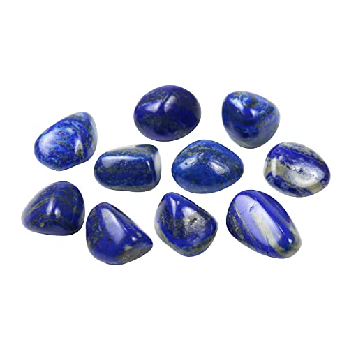 Tumbled Polished Natural Lapis Lazuli Stone, Chakra Stones(10Pcs) Blue