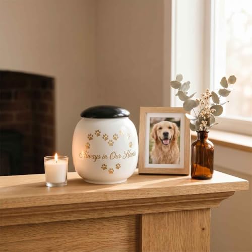 Pet Urn for Dog Cat Ashes, Always in Our Hearts Keepsake Urns Eternal Paw Hearts