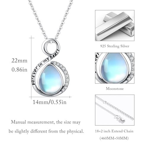 Rose Urn Necklace for Women Sterling Silver Heart Urn Necklace for Ashes Hummingbird Cremation Jewelry Gifts for Ashes of Loved One A-Urn