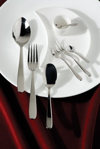 Fortessa Grand City 18/10 Stainless Steel Flatware Solid Handle Butter Knife, Set of 12