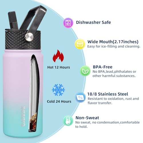 BJPKPK 2 Pack 18oz Insulated Water Bottles with Straw Lids, Stainless Steel 18 oz Lavender Green+Black