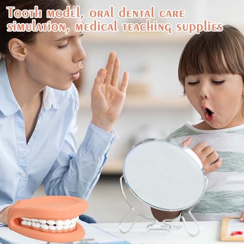 Dental Model Teeth Model, Tooth Mouth Model with Toothbrush, Mouth Hand Puppet with Tongue for Children, Mouth Puppet for Speech Therapy, Demonstration Anatomical Tooth Model for Dental