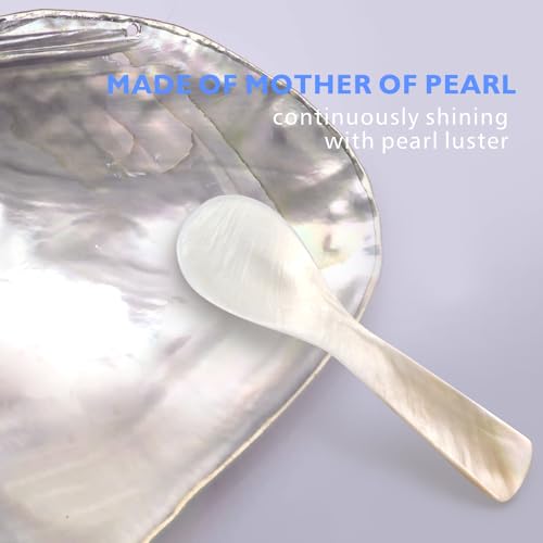 ThougrLyh Mother of Pearl Spoon 24pcs 3.54in Caviar Spoons for Food Parties 24