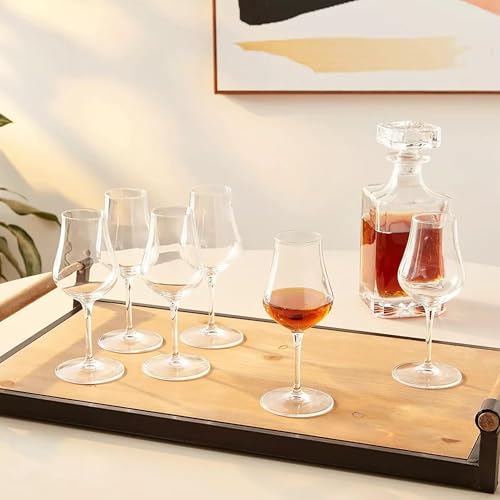 Luigi Bormioli Vinoteque Snifter Wine Glasses, 5.75 Oz - Clear, Set of 6 6 Count (Pack of 1)