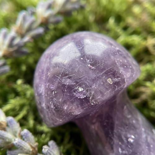 Amethyst Crystal Mushroom in Tin Box, Emotional Support Mushroom Spiritual Gifts for Women, Healing Crystals Home Decoration Gift Set