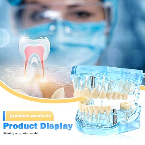 Dental Model with Removable Teeth, Dental Model, Transparent Model for Diseased Teeth, Transparent Tooth Model for Education, Clinic and Patient Demonstration, Blue