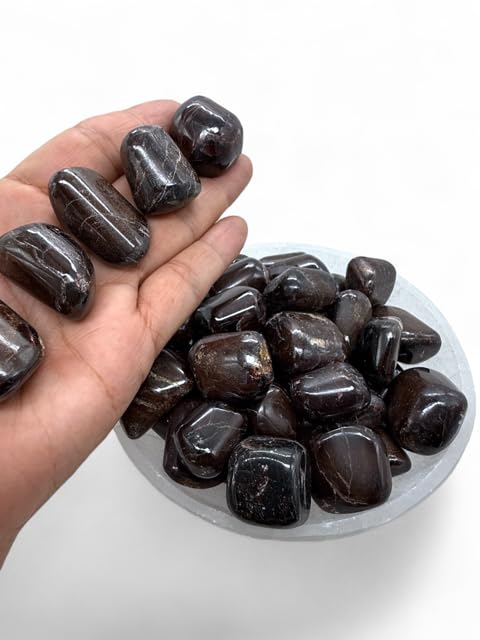 Garnet Tumbled Stone - Healing Stone - Crystal Healing - 20-25mm (1) 1