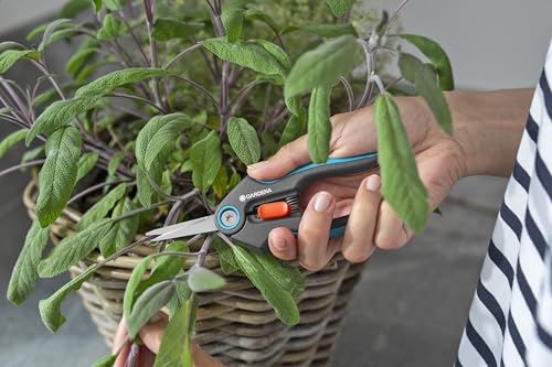 GARDENA FreshCut herb scissors with German steel blades, green ergonomic handles