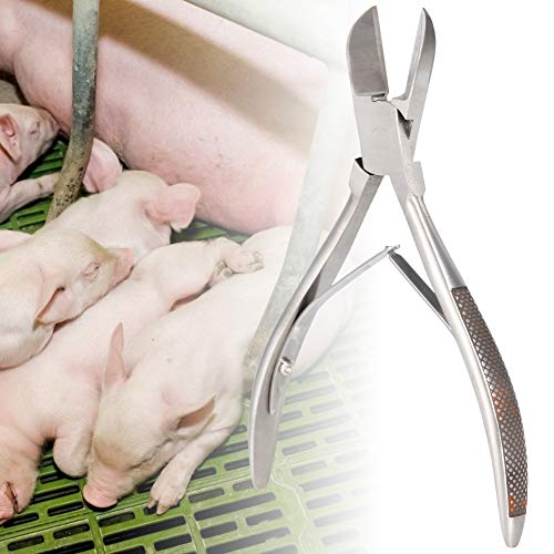 Pig Piglet Teeth Clipper Tweezers, Stainless Steel Tooth Cutter Scissors for Dog Piglet Elbow Clipper Tweezers with Pig Catcher for Paparazzi Elbow Shrapnel and Pi