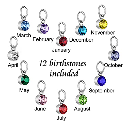 Dletay Heart Urn Necklace for Ashes Birthstones Cremation Jewelry for Ashes Stainless Steel Ash Necklace Memorial Ash Holder Silver