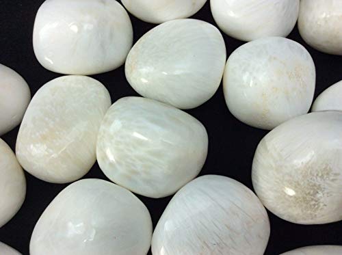 Pachamama Essentials Scolecite Tumbled - Healing Stone - Crystal Healing 20-25mm 1 Round