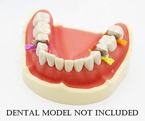 [Australia - AusPower] - Dental Wedge Guard with Metal Plastic Knife and Protection Matrix for Teeth Interproximal Area 50pcs/box (SMALL) 