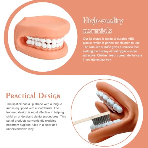 Dental Model Teeth Model, Tooth Mouth Model with Toothbrush, Mouth Hand Puppet with Tongue for Children, Mouth Puppet for Speech Therapy, Demonstration Anatomical Tooth Model for Dental