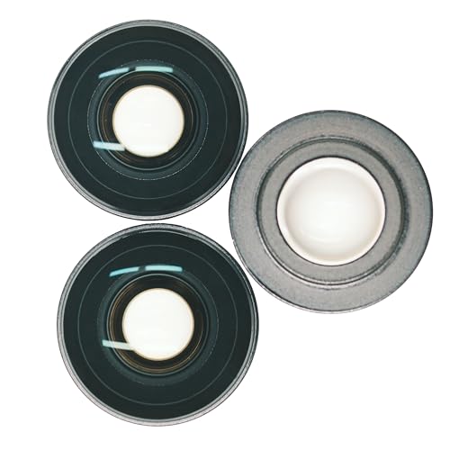 Koulele Replacement Lens for New Insta360 X4 Camera Lens Repair Part (X4-version2-2pic) Ver2-2 Pics