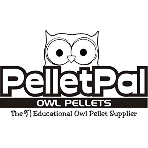 Premium Barn Owl Pellets, Small: 1.25"-1.5" (Pack of 20) - Free Bone Identification Chart, Forceps, Paddle Picks, and Teaching Guide Included!