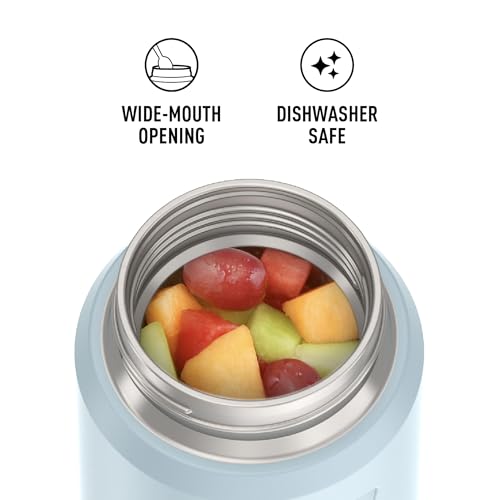 THERMOS ICON Stainless Steel Food Jar with Spoon, 16 Ounce, Glacier