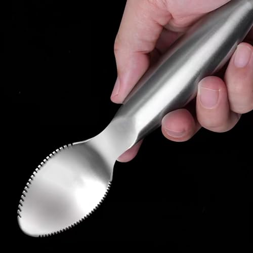 Stainless Steel Grapefruit Spoons with Serrated Edge Serrated Spoon Pumpkin Scraper Pumpkin Core Remover Scoop (Pack of 3) Standard (Pack of 3)
