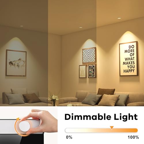 Morotty G4 Halogen Light Bulb 20W 12V 2700K Warm White Pack of 12 | 240 lm halogen lamp, up to 300 °C, dimmable, for cooker hoods, ovens, microwaves 20 Watt
