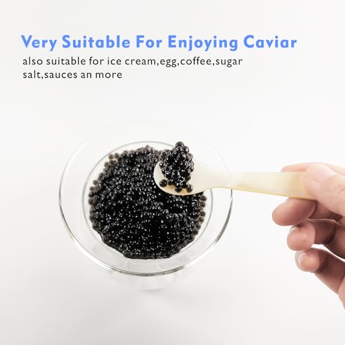 ThougrLyh Caviar Spoon 12pcs 3.54 in Mother of Pearl Spoon for Caviar Party 3.54in 12