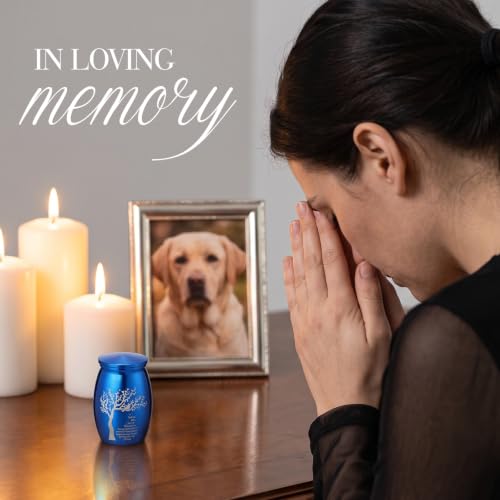 4 Sets 3 Inches Small Urns for Human Ashes, Urn and Necklace Set, Blue