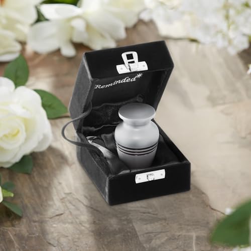 Reminded Small Cremation Memorial Urn for Human Ashes, Silver with Black Striped Miniature Keepsake Urn with Velvet Case Silver Stripes