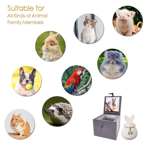 Ceramic Pet Urn for Ashes, Bunny Urn with Photo Display Box-Matte White Matte White Rabbit S Size